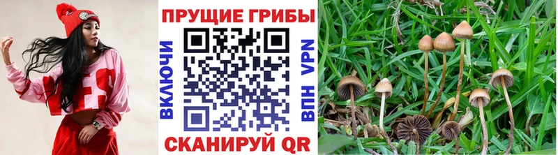 Псилоцибиновые грибы ЛСД  KRAKEN ссылка  Нурлат 